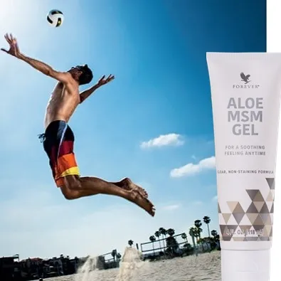 Aloe MSM Gel Forever Living Products, Artikelnummer 205