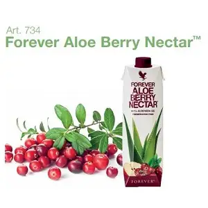 SHOP: Forever Aloe Berry Nectar della Forever Living Products, articolo 734